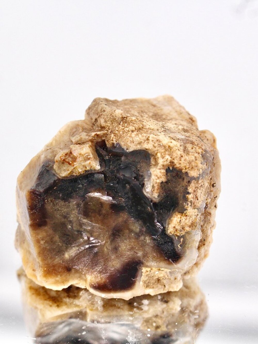 Virgin Valley Opal Petrified Wood Log Limb Cast Raw Rough Specimen Nevada 23.2g